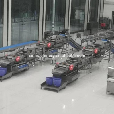 China best fully automatic vegetable production line