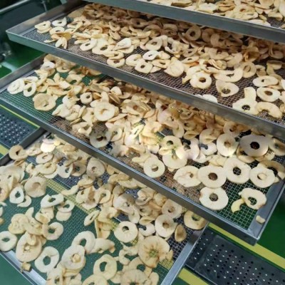 fruit and vegetable drying machine puffed apple slices vacuum drying machine