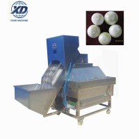 automatic onion peeling machine, onion peel, onion peeler machine